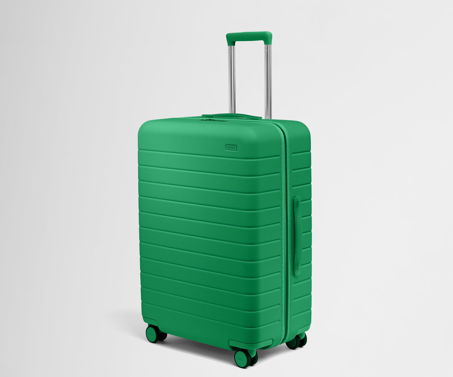 The Medium in Palm Green